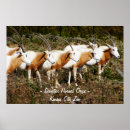 Suche nach oryx poster Tierwelt