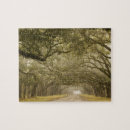 Suche nach savannah georgia puzzle Joanne wells