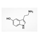 Suche nach serotonin Wissenschaft