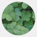 Suche nach glück der iren aufkleber Grün