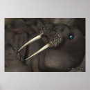 Suche nach walrus poster Siegel