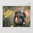 Suche nach funny birthday postkarten Jede person