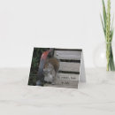 Suche nach eichhörnchen kleine grußkarten Natur