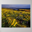 Suche nach überfluss poster Landschaft
