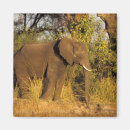 Suche nach victoria falls magnete Natur