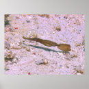 Suche nach robust poster Natur