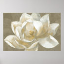 Suche nach magnolia poster Magnolien