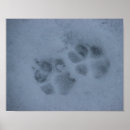 Suche nach paw poster Welpe