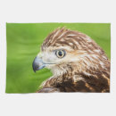 Suche nach raubvogel geschirr tücher Tier