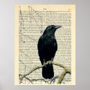 Suche nach crow poster Natur