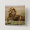 Suche nach panthera buttons Lincoln peak