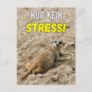 Suche nach stress postkarten Witzig