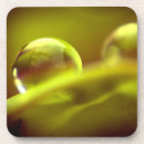 Suche nach wasserfall untersetzer Natur