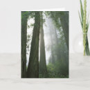 Suche nach redwood karten Nationalpark