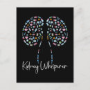 Suche nach niere postkarten Nephrologie