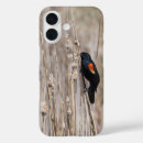 Suche nach flügel iphone hüllen Jede person