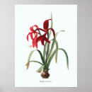 Suche nach illustrationen kunst Botanisch