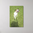 Suche nach jack russell kunst Hund