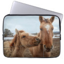 Suche nach fohlen laptop schutzhüllen Pony