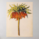 Suche nach kronen poster Blumen