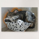 Suche nach pussycats puzzle Sofa