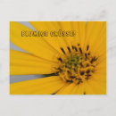 Suche nach wöchentlich postkarten Für alle