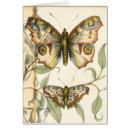 Suche nach jennifer goldberger postkarten Tiere