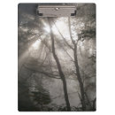 Suche nach der wald klemmbrett Bäume