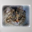 Suche nach langes haar poster Wandkunst
