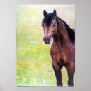 Suche nach wildleder kunst Pferd