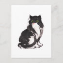 Suche nach weiße katzen postkarten Tierfreund