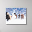 Suche nach wir grenze leinwandbilder Muschel