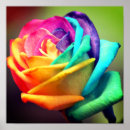 Suche nach regenbogen rose poster Natur