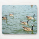 Suche nach kanada mousepads Tiere