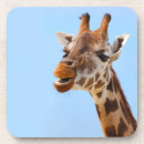 Suche nach lustige giraffe untersetzer Niedlich