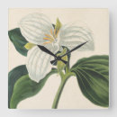 Suche nach botanische illustration wanduhren Botanik