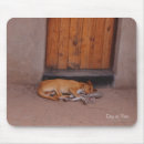 Suche nach erholung mousepads Hund