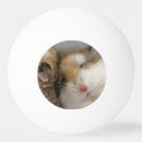 Suche nach lustige hamster spiele Wütend