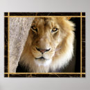 Suche nach große katzen poster Wildkatze
