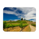 Suche nach reihen magnete Niemand