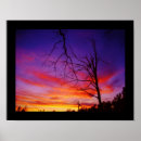 Suche nach toter baum poster Landschaft