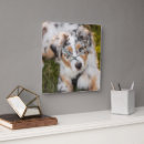 Suche nach schäferhund wanduhren Haustiere