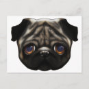 Suche nach trauriger mops postkarten Hund