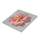 Suche nach rosenblüte fliesen Rosa