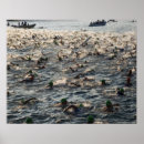Suche nach triathlon poster Schwimmen