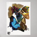 Suche nach vintager schmetterling poster Für alle