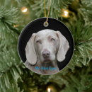 Suche nach weimaraner ornamente Hund