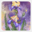 Suche nach lila iris aufkleber Iriskleber