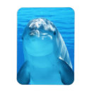 Suche nach niedlicher delphin magnete Tier