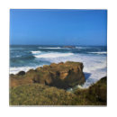 Suche nach otter fliesen Ozean